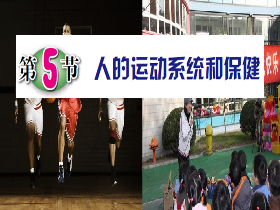 九年级科学下册3.5人的运动系统和保轿件2.ppt_第1页