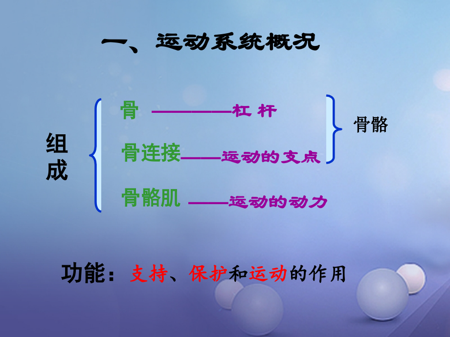 九年级科学下册3.5人的运动系统和保轿件2.ppt_第2页