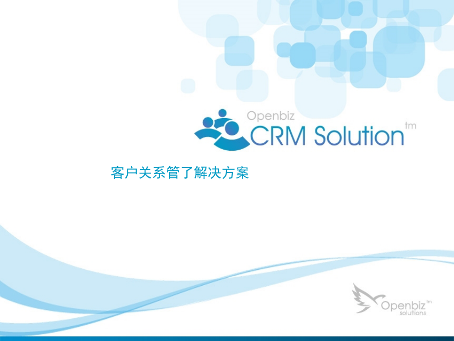 客户关系管理总体解决方案.pptx_第1页