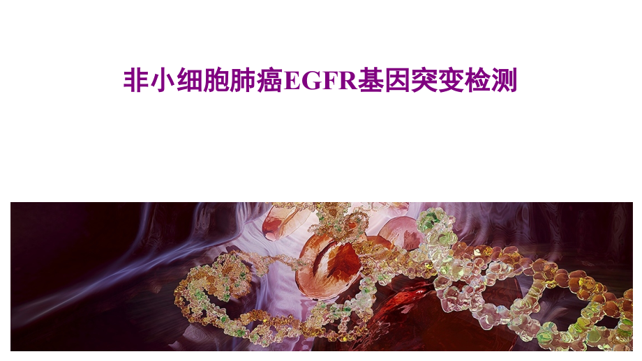 非小细胞肺癌EGFR基因突变检测.pptx_第1页