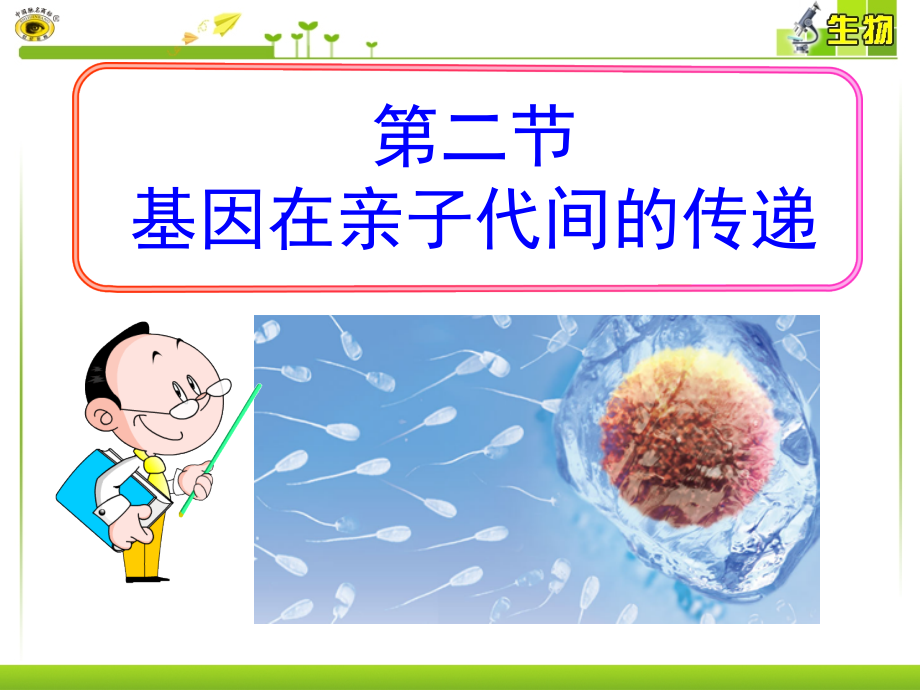 八年级生物下册-第七单元第二章第二节-基因在亲子代间的传递.ppt_第2页
