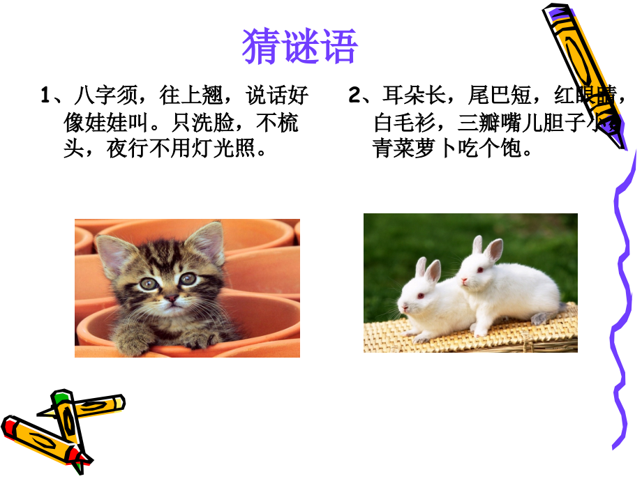 四年级-我喜欢的小动物.ppt_第2页