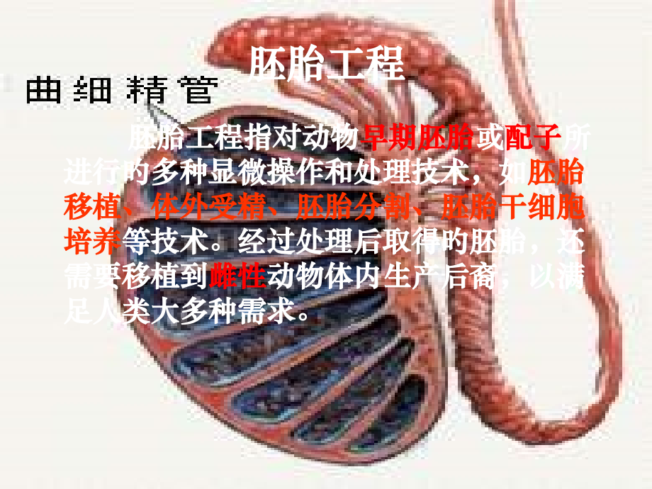高中生物专题3胚胎工程新人教版选修公开课一等奖市赛课一等奖课件.pptx_第2页
