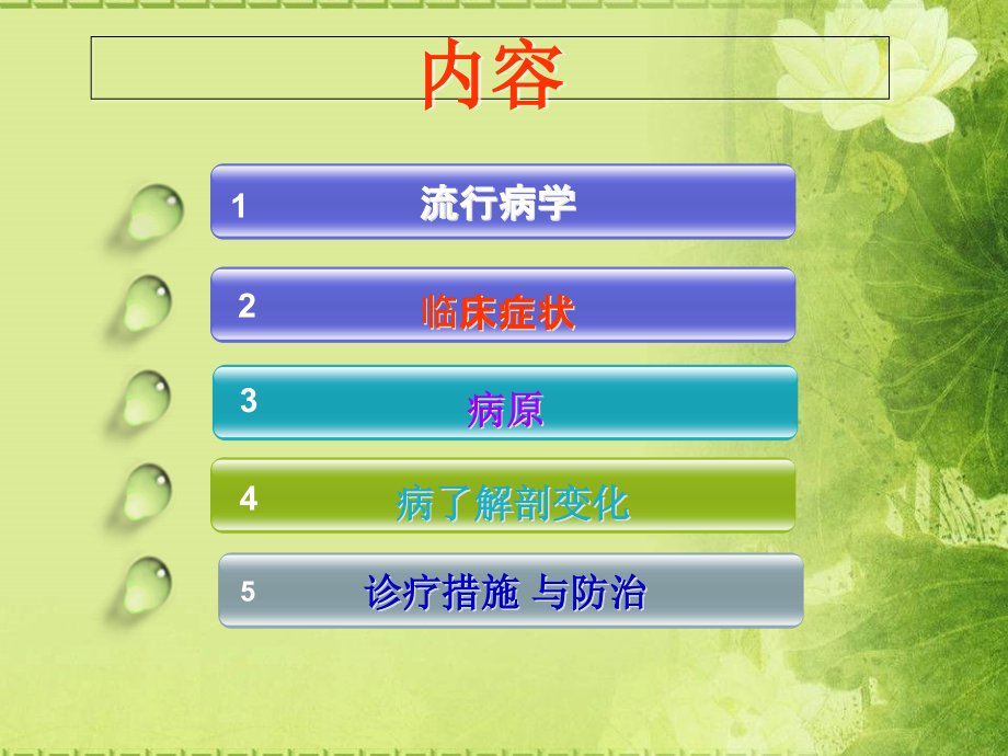 鸭黄病毒病课件.pptx_第2页