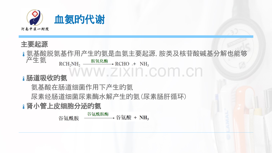 高氨血症专题讲座.pptx_第2页