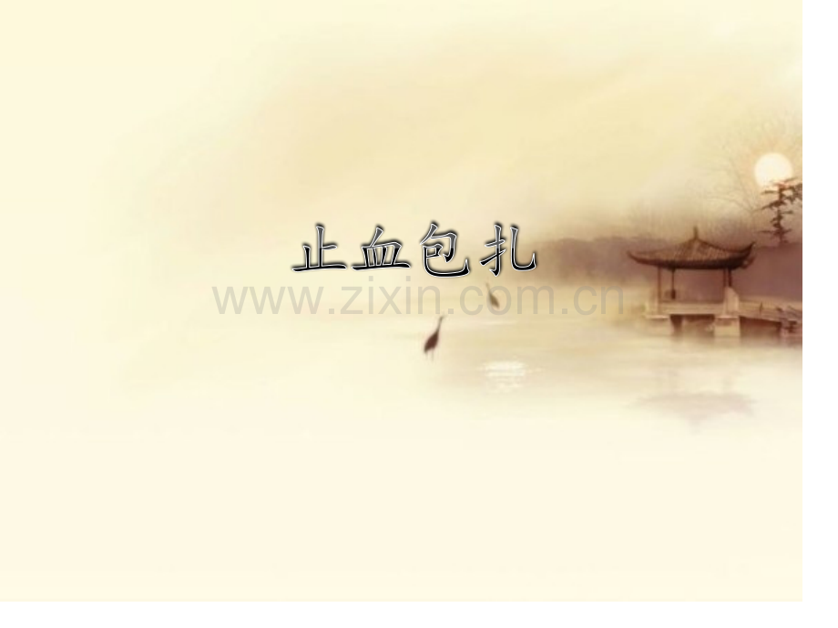 止血包扎专题知识讲座.pptx_第1页