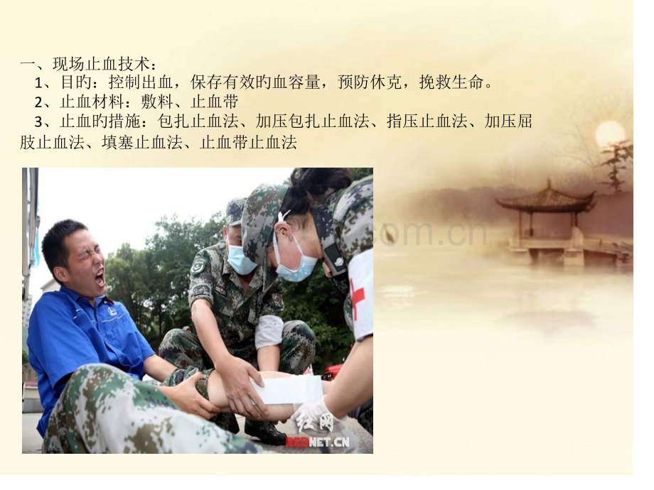 止血包扎专题知识讲座.pptx_第2页