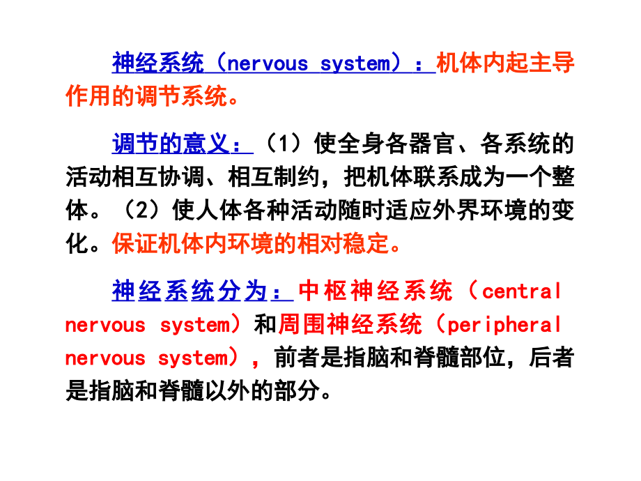 第十章--神经系统的功能.ppt_第2页