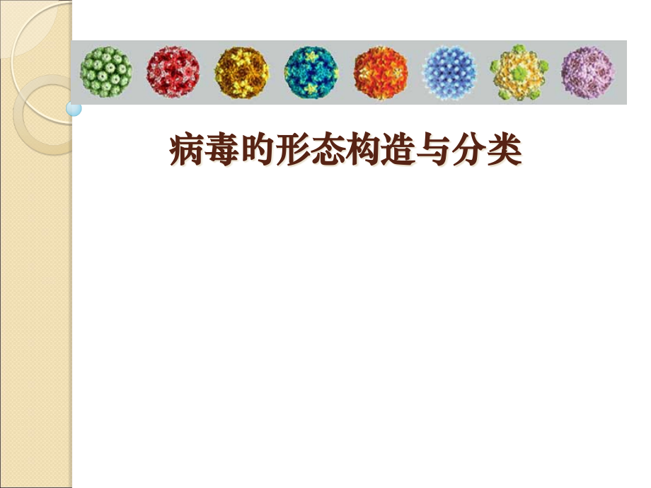 病毒的形态结构与分类.pptx_第1页