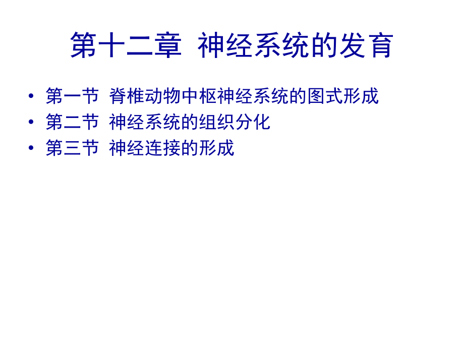 神经系统发育.pptx_第1页