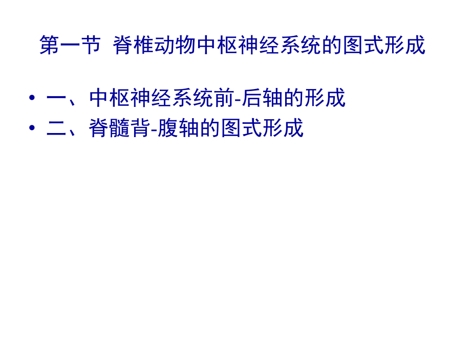 神经系统发育.pptx_第2页