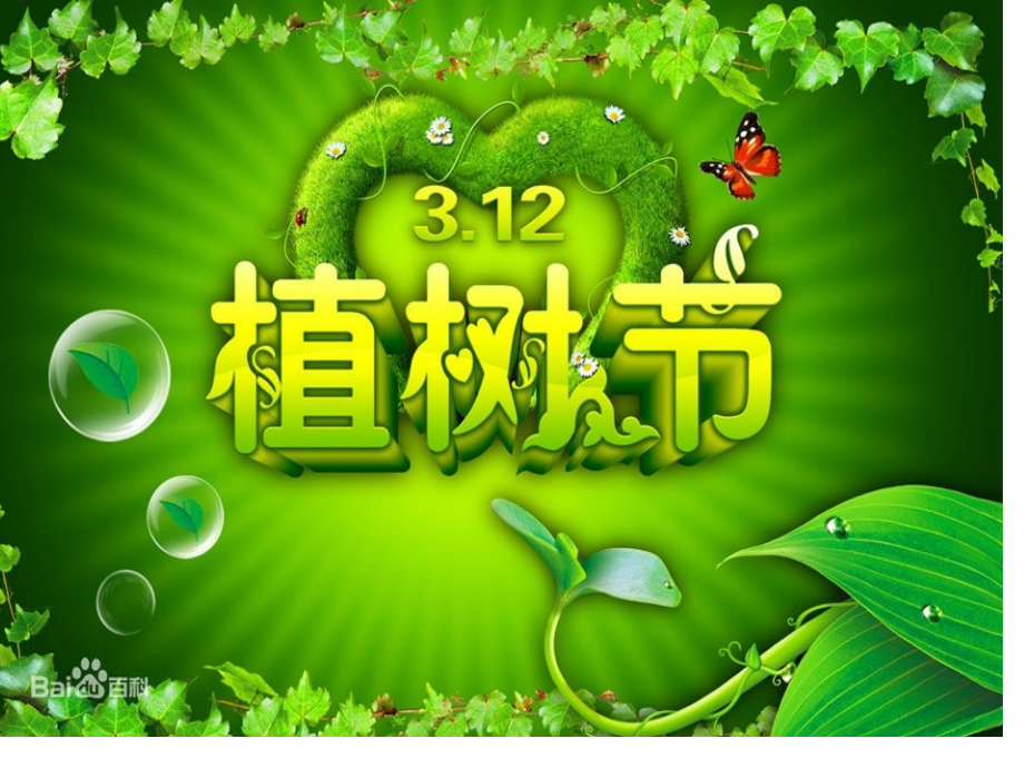 播种绿色拥抱春天doc.pptx_第2页