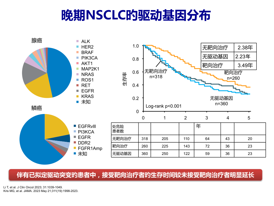 论道NSCLC患者的全程管理.pptx_第2页