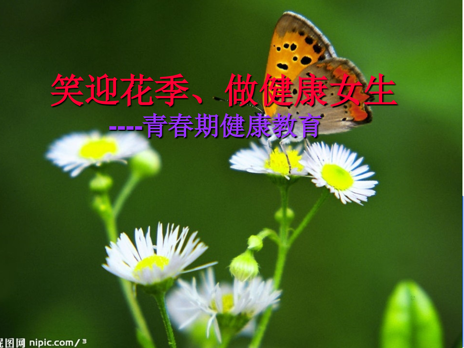 青春期健康教育高中.pptx_第1页