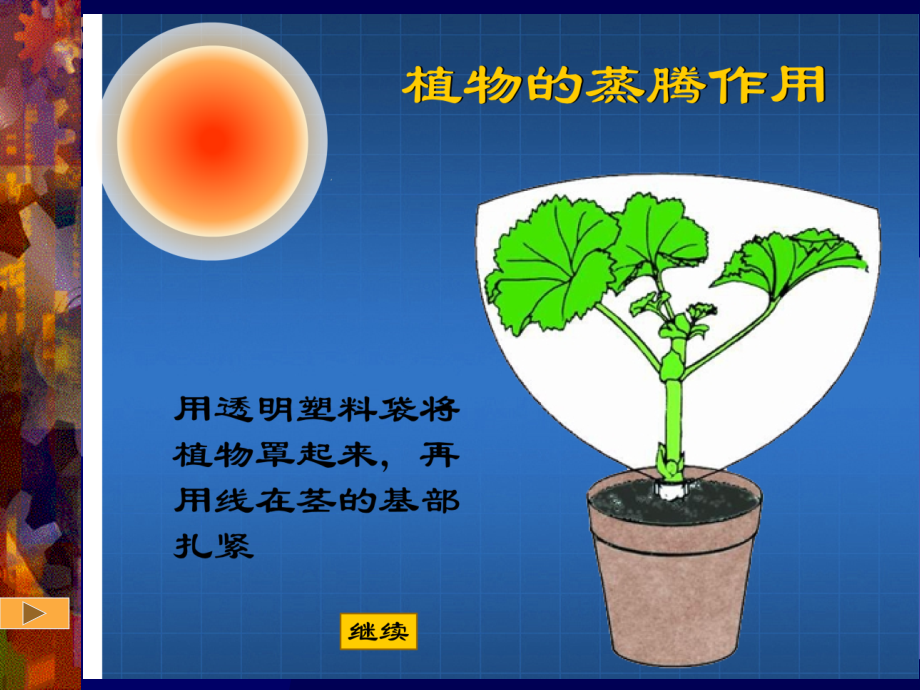 绿色植物参和生物圈的水循环公开课一等奖市赛课获奖课件.pptx_第2页