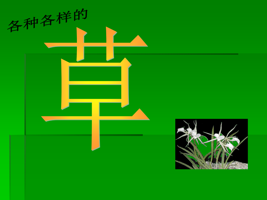 湘美版四年级美术图片素材草丛中公开课一等奖市赛课获奖课件.pptx_第1页