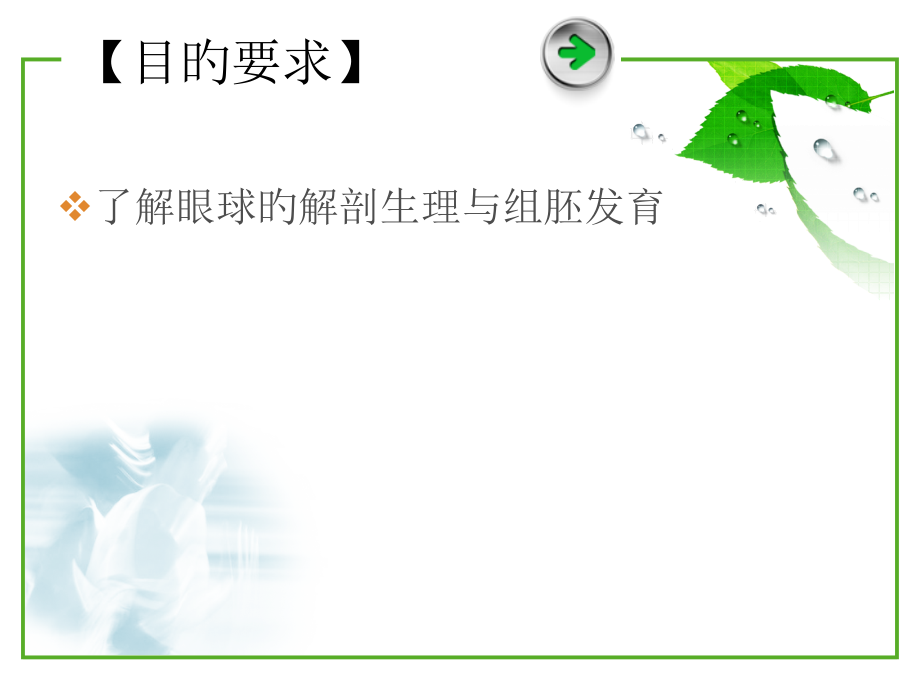 中西医眼部解剖.pptx_第2页