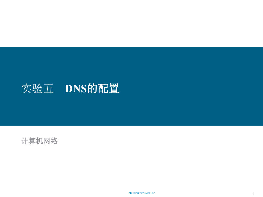 实验五-DNS的配置.ppt_第1页