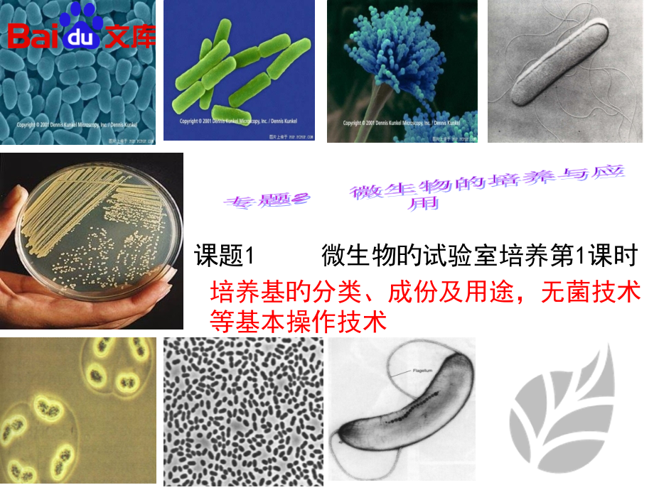 人教版生物高二选修一专题二课题1微生物实验室培养与应用第公开课一等奖市赛课一等奖课件.pptx_第1页