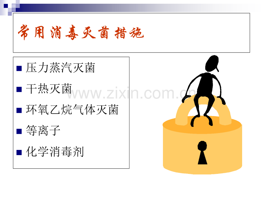 消毒灭菌方法及正确运用.pptx_第2页