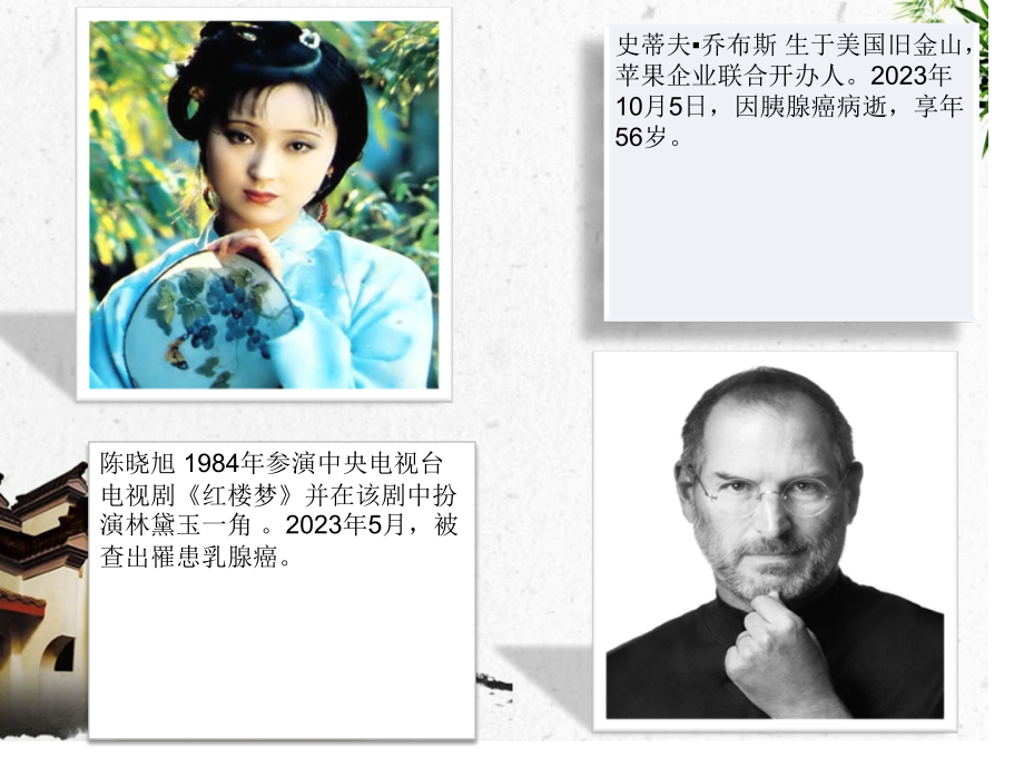 细胞的生命历程细胞癌变.pptx_第2页