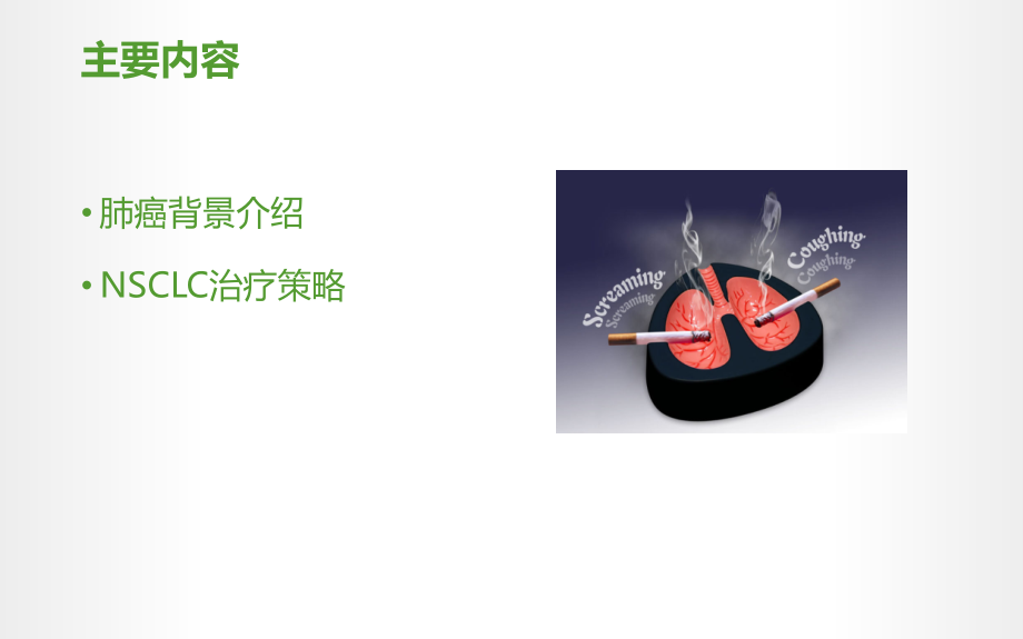 肺癌j基础.pptx_第2页