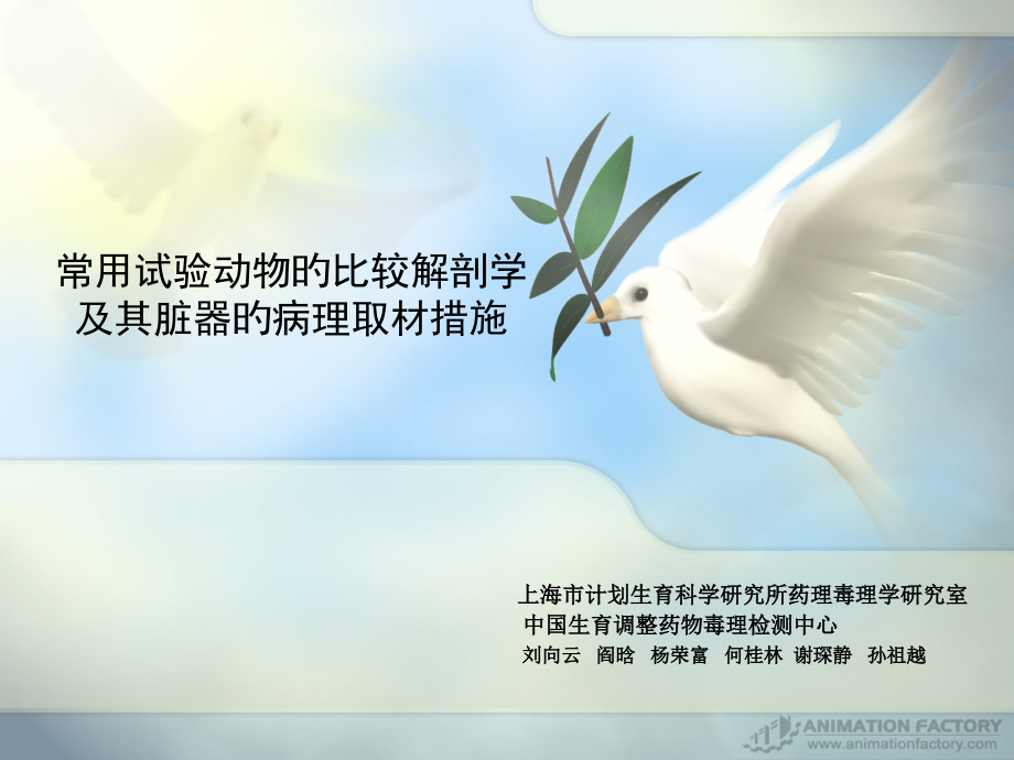 常用实验动物脏器的病理取材方法.pptx_第1页