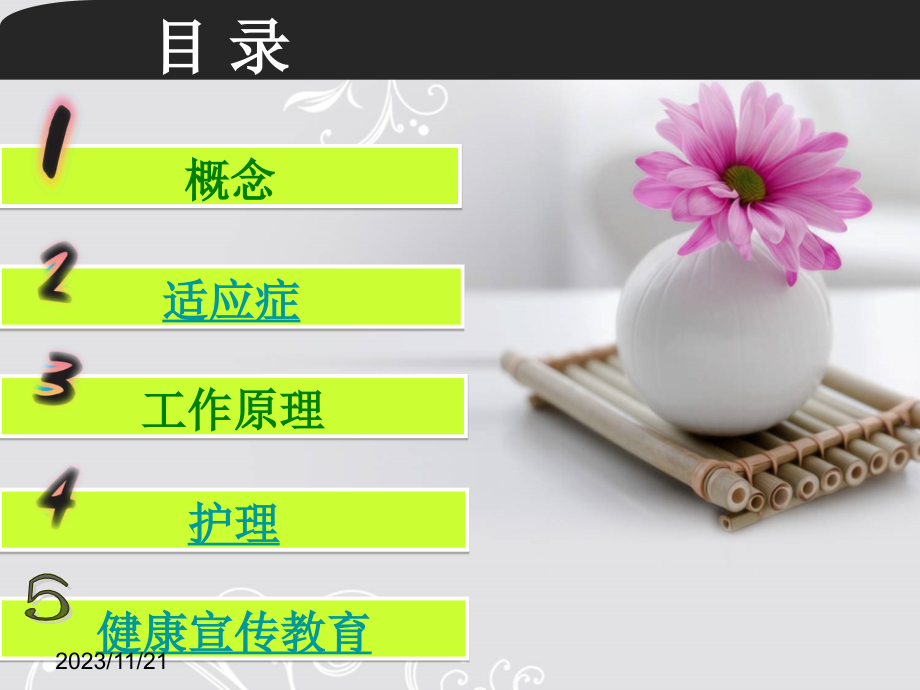 下肢动脉血栓及护理.pptx_第2页