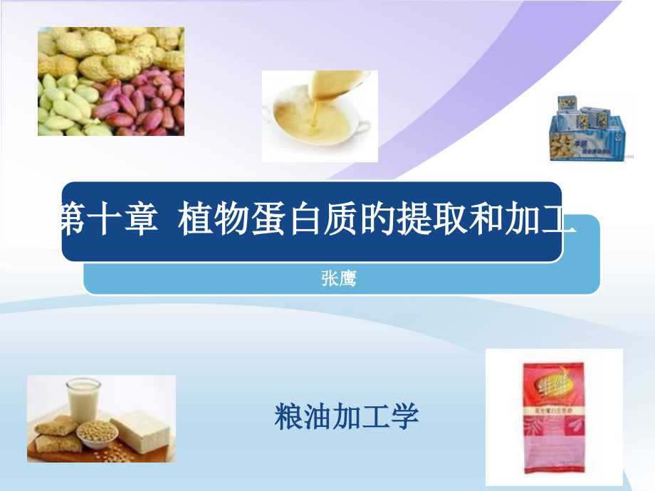 植物蛋白质的提取和加工分解.pptx_第1页