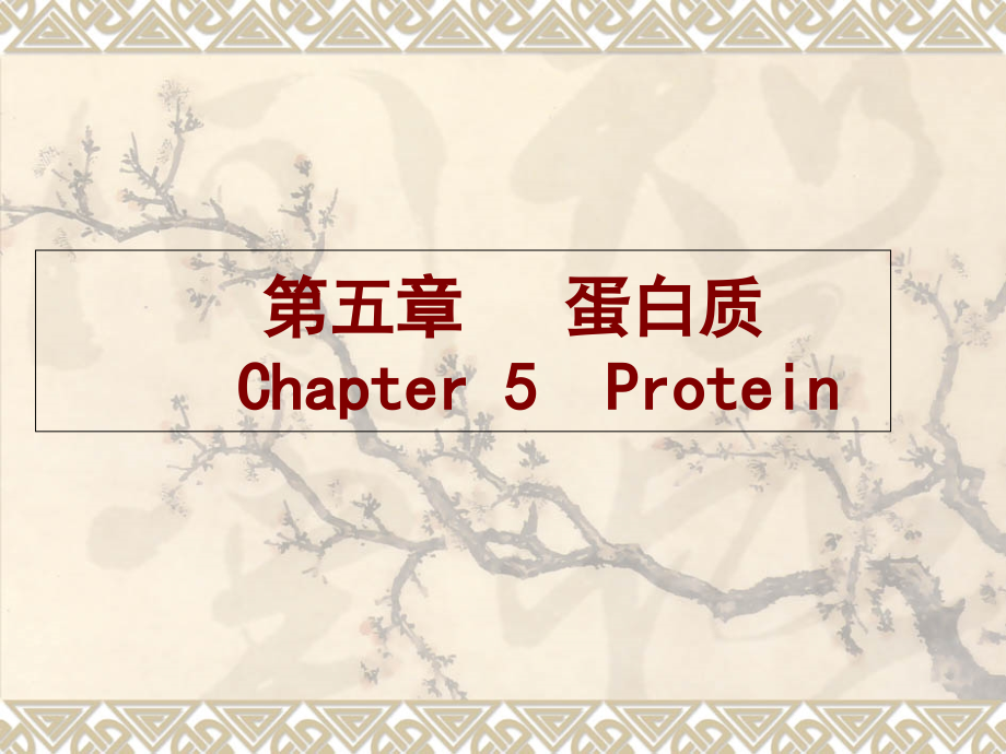 第五章---蛋白质化学.ppt_第1页