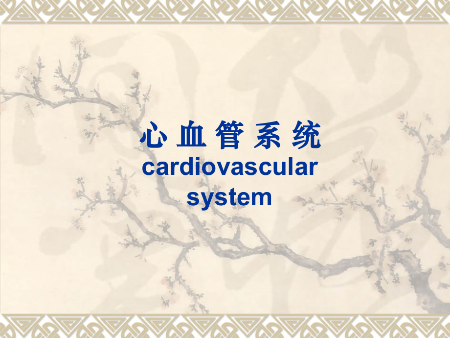 心血管系统显像.pptx_第1页