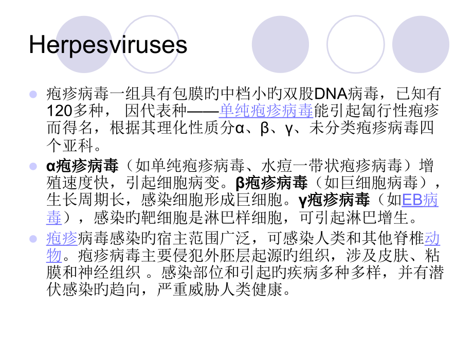 水痘的鉴别诊断疱疹病毒及疱疹性疾病.pptx_第2页
