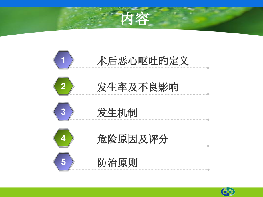 术后恶心呕吐专家共识解读.pptx_第2页