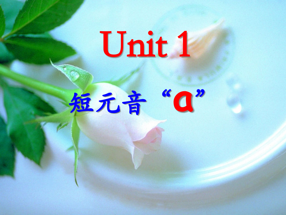 Unit13元音aei的发音公开课一等奖市赛课一等奖课件.pptx_第1页