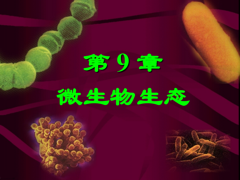 第9章-微生物的生态-jdh.ppt_第1页