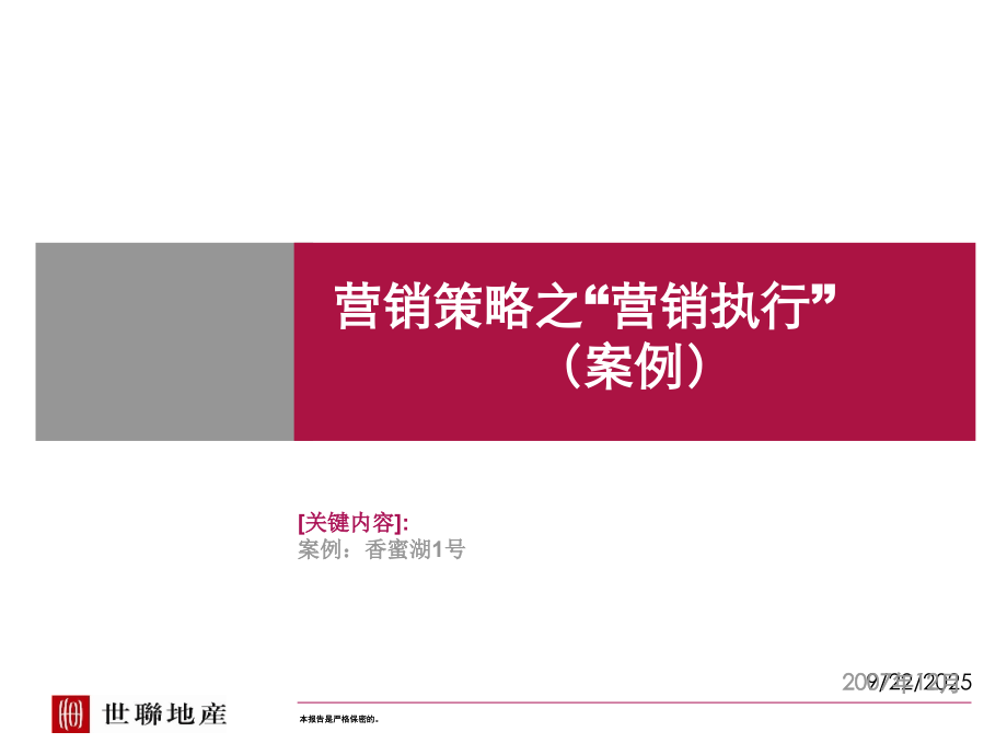 案例营销策略之“营销执行”.ppt_第1页