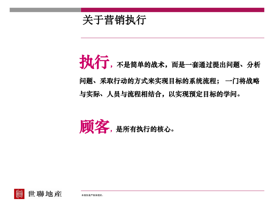 案例营销策略之“营销执行”.ppt_第2页