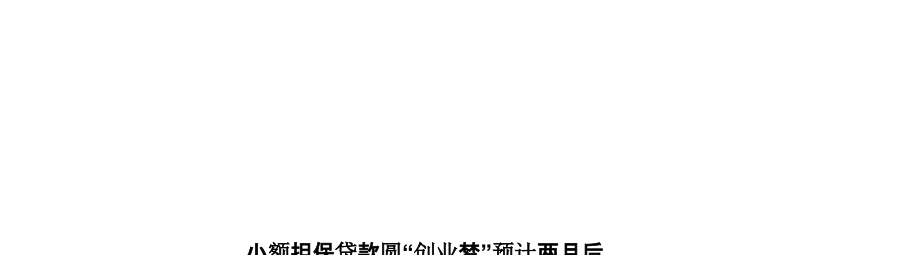 小额担保贷款圆“创业梦”预计两月后最高贷30万元.pptx_第1页