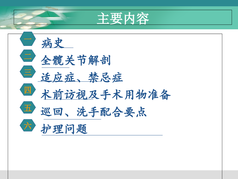 全髋置换护理查房.pptx_第2页