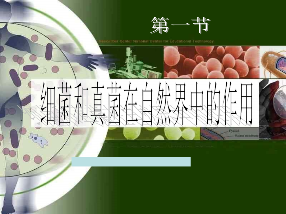 真菌和细菌在自然界中的作用.pptx_第1页