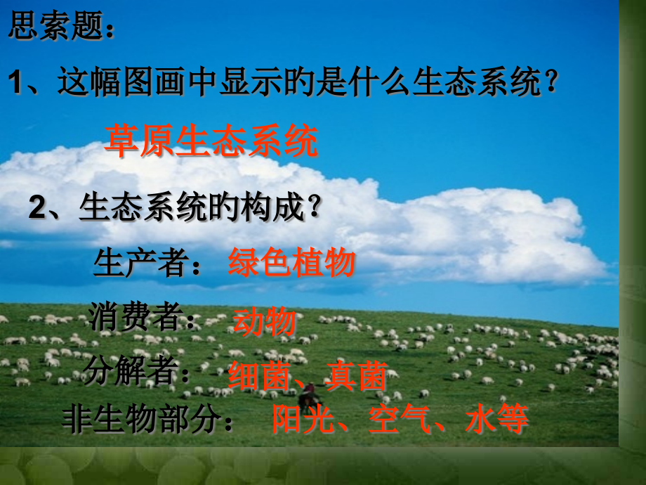 真菌和细菌在自然界中的作用.pptx_第2页