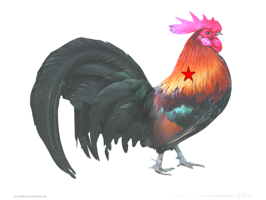 我们的祖国真大--幼儿园大班课件.ppt_第2页