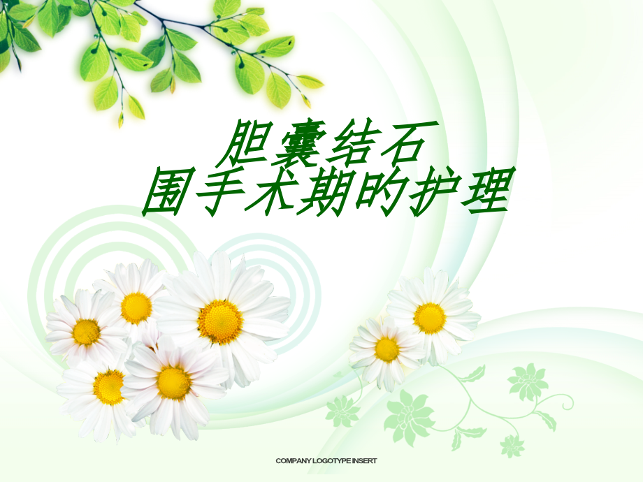 胆囊结石围手术期护理.pptx_第1页