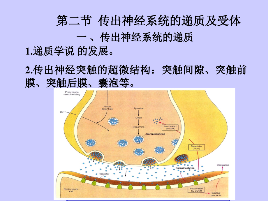 第5章+传出神经系统药理概论.ppt_第2页