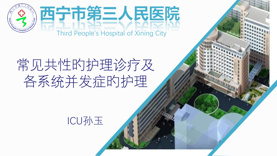 sy常见护理诊断及护理措施.pptx_第1页