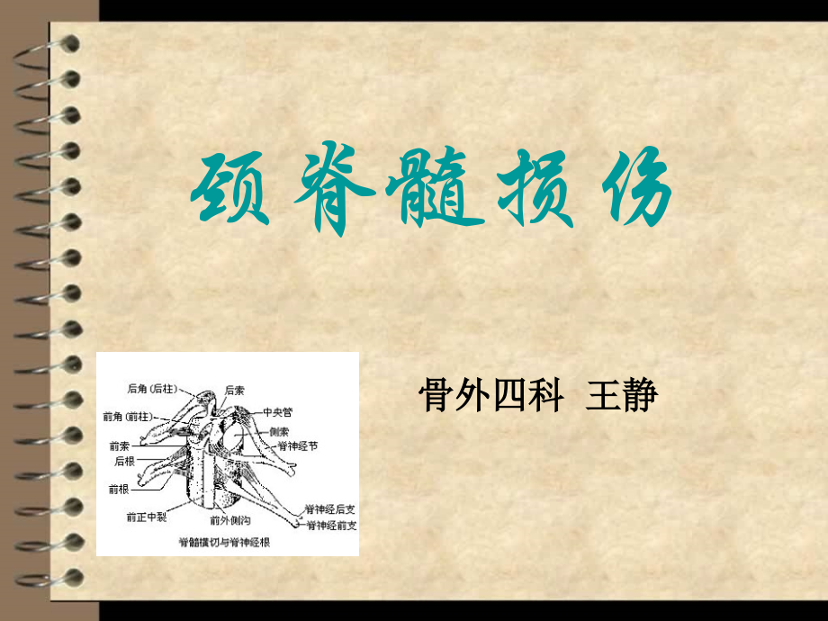 颈脊髓损伤资料.pptx_第1页