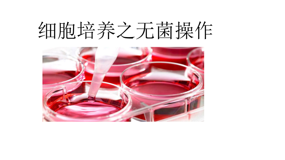 细胞培养无菌操作.pptx_第1页