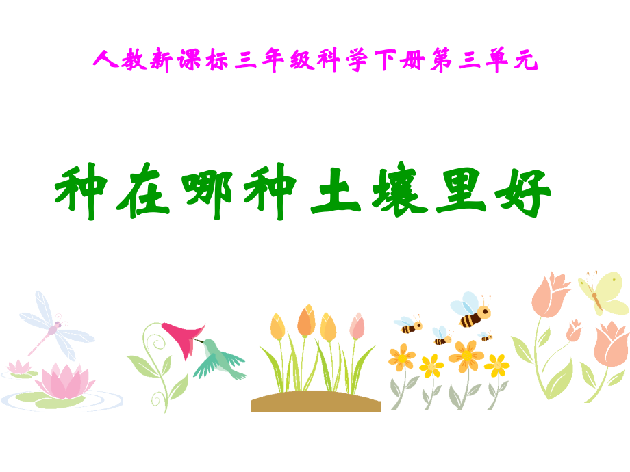 小学科学种在哪种土壤里好公开课一等奖市赛课获奖课件.pptx_第1页