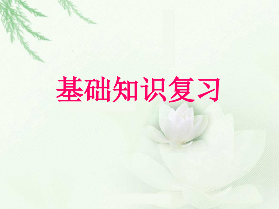 面积和复习公开课一等奖市赛课一等奖课件.pptx_第1页