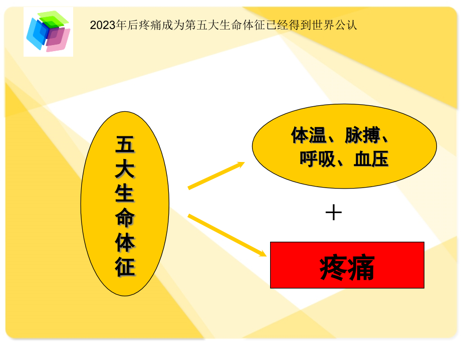 止痛药物的合理应用.pptx_第2页
